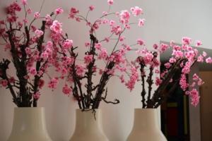Boswijk - bloemen