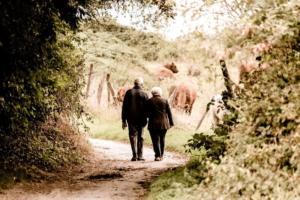 Wandelen - fit - activiteit - bewegen - natuur